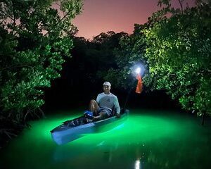 Naples Guided Sunset Kayak Tour Activity