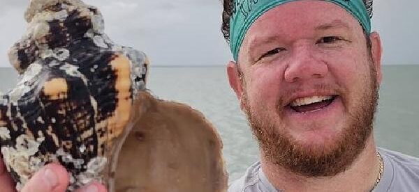 Naples Keewaydin Shelling Dolphin and Beach Tours