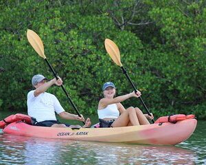 Nauti Exposures - Guided kayak tour through the Mangroves