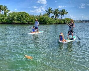 Paddle Boarding Eco Adventure Tour Jupiter Florida - Singer Island