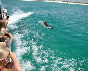 Pensacola Beach Dolphin and Scenic Tour