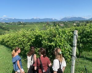 Premium Private Prosecco Hills Tour - 2 Wineries. Private tour.