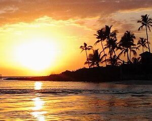 Private Beach or Sunset Boat Tour In Naples Florida