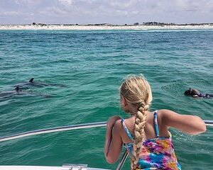 Private Swim with Dolphins And Snorkeling Tour