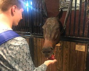 Private United States Army Tour in Washington DC by Luxury Car