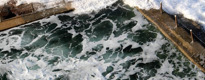 Private tour of Ku-Ring-Gai National Park and Northern Beaches