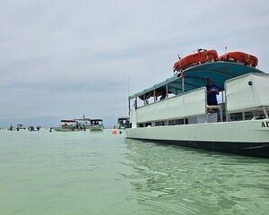 Sandbar Boat Tour in Marathon Florida