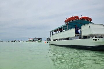 Sandbar Boat Tour in Marathon Florida