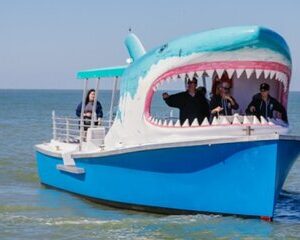 Shark Boat Destin Daytime Dolphin Watch and Sunset Cruise