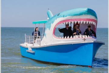 Shark Boat Destin Daytime Dolphin Watch and Sunset Cruise