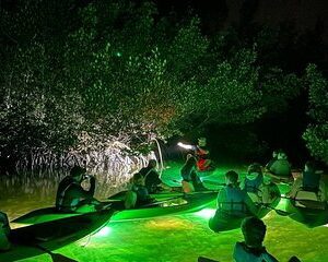 Sharkey's Glass Bottom Fish Feeding LED Night Tour in Sarasota