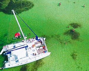 Shell Island Snorkel and Dolphin Catamaran Cruise with Island Time