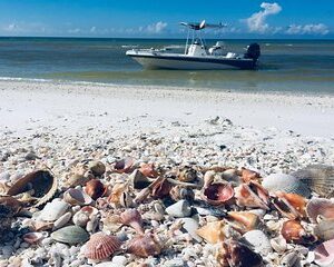 Shelling Tours - Fort Myers Beach / Naples