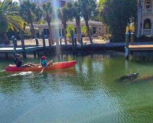 Siesta Key Kayak Tour
