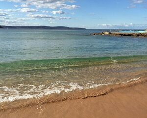 Small-Group Sydney's Northern Beaches & Ku-ring-gai Park Tour