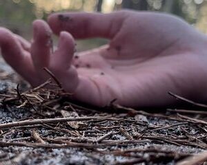 Torrid Tales True Crime Walking Tour of St Augustine