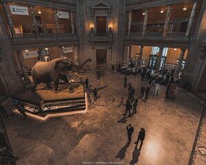 Two Smithsonian Museums Private Tour: American & Natural History