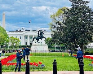 VIP Private Tour of Washington DC
