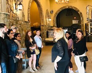 Virginia Wineries Guided Tour and Tastings from Washington DC