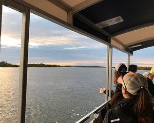 Wildlife Tour of Indian River Lagoon with Experienced Captain