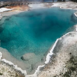 5 Person Full Day PRIVATE Yellowstone Tour- Picnic, Binoculars, Scope, Huge Van