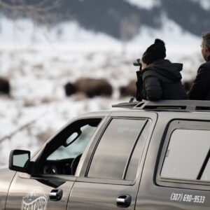 8 Hour Combination Snowshoe & Wildlife Viewing in Grand Teton National Park