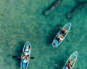 Clear Kayak Peanut Island Guided Tour Palm Beach Singer Island