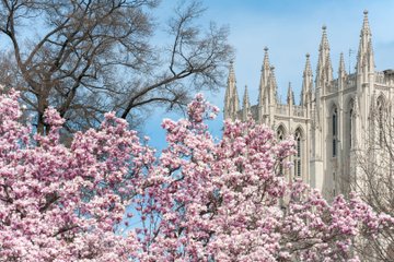 Cleveland Park Walking Tour, Washington, DC