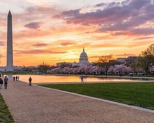 Discover Washington: A Self-Guided Tour