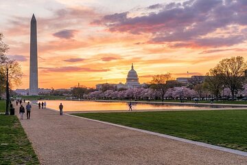 Discover Washington: A Self-Guided Tour