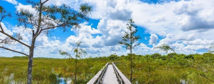 Everglades National Park: Self Guided Driving Audio Tour
