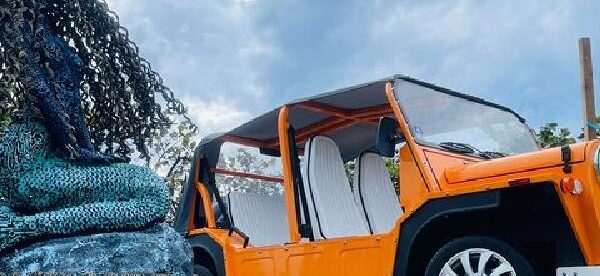 Frederiksted Moke Tour