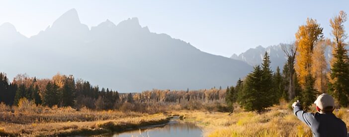 From Jackson: Full-day Grand Teton Wildlife and Scenery Tour with Lunch