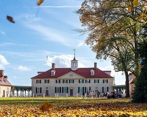 From Washington DC Mount Vernon and Alexandria Private Day Tour