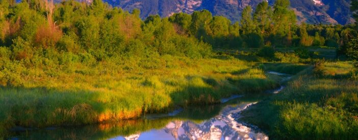 Grand Teton National Park Tour from Jackson Hole