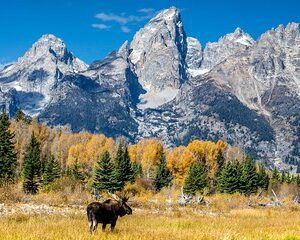 Half Day Group Sunset Wildlife Safari