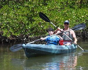 Heart of Rookery Bay Kayak Tour
