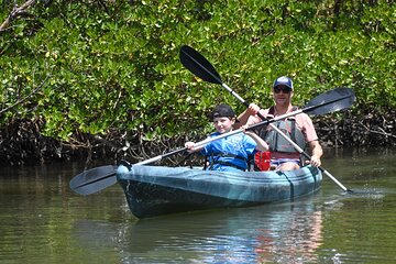 Heart of Rookery Bay Kayak Tour