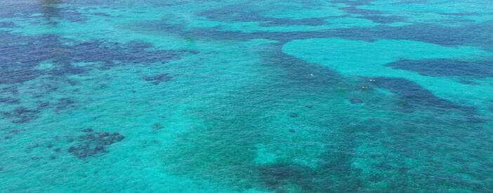 Historic Carysfort Lighthouse Snorkeling Tour