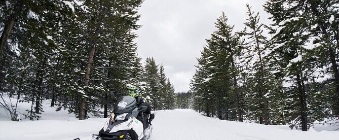 Jackson Hole Self Guided Snowmobile Rentals