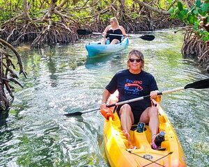 Kayak or Paddleboard the Famous Mangrove Tunnels