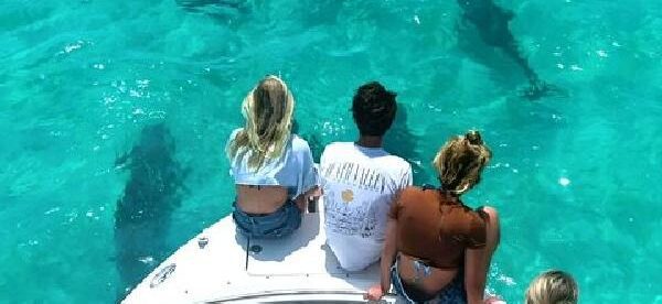 Key West Dolphin & Snorkeling Tour - Small Group