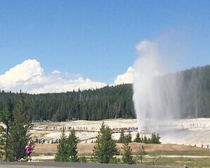 Los Angeles to Yellowstone 5 Day Tour , Ending in Salt Lake City