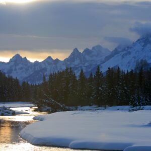 Luxury 1/2 Day Winter Grand Teton Tour & Sleigh Ride