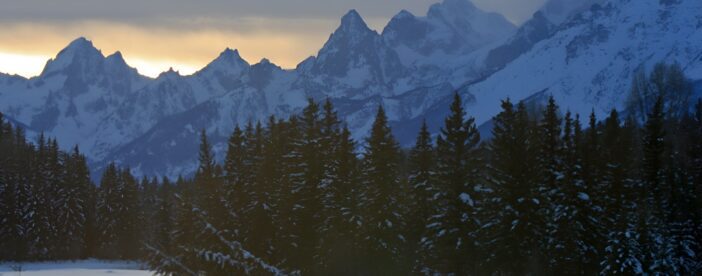 Luxury 1/2 Day Winter Grand Teton Tour & Sleigh Ride