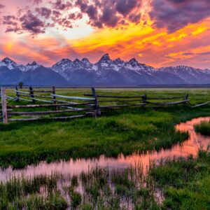 Luxury Private Half-Day Grand Teton National Park Tour
