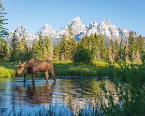 Private 8-Hour Grand Teton Adventure
