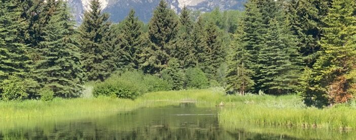 Private Full-Day Grand Teton National Park Tour with Picnic Lunch