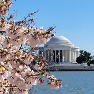 Private Washington DC Tour with Changing of the Guard Ceremony
