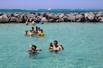 Save 20.00%! Shell Island Snorkel & Dolphin Tour from Panama City Beach